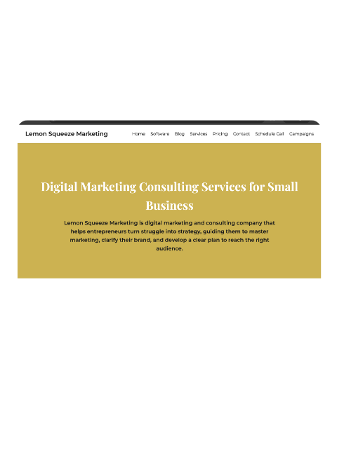 LSM Digital Website & CRM Build